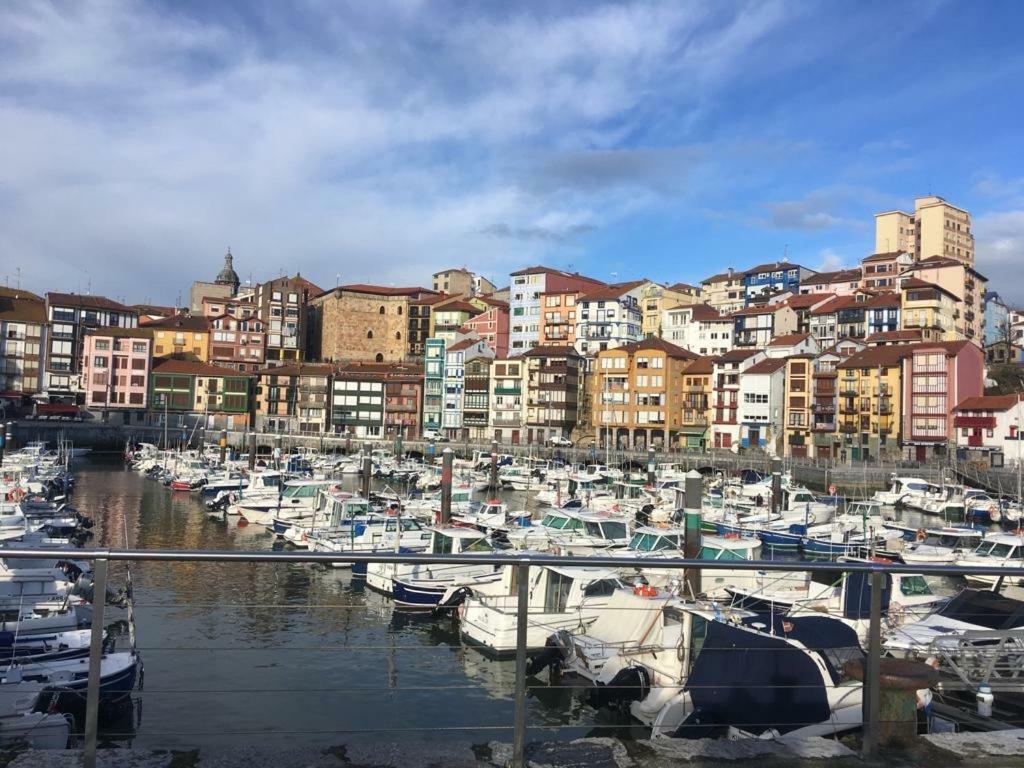 Apartamentos Urdaibai 2 Bermeo Extérieur photo